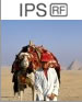 IPS
